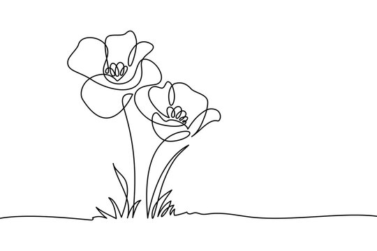 Draw-Flowers