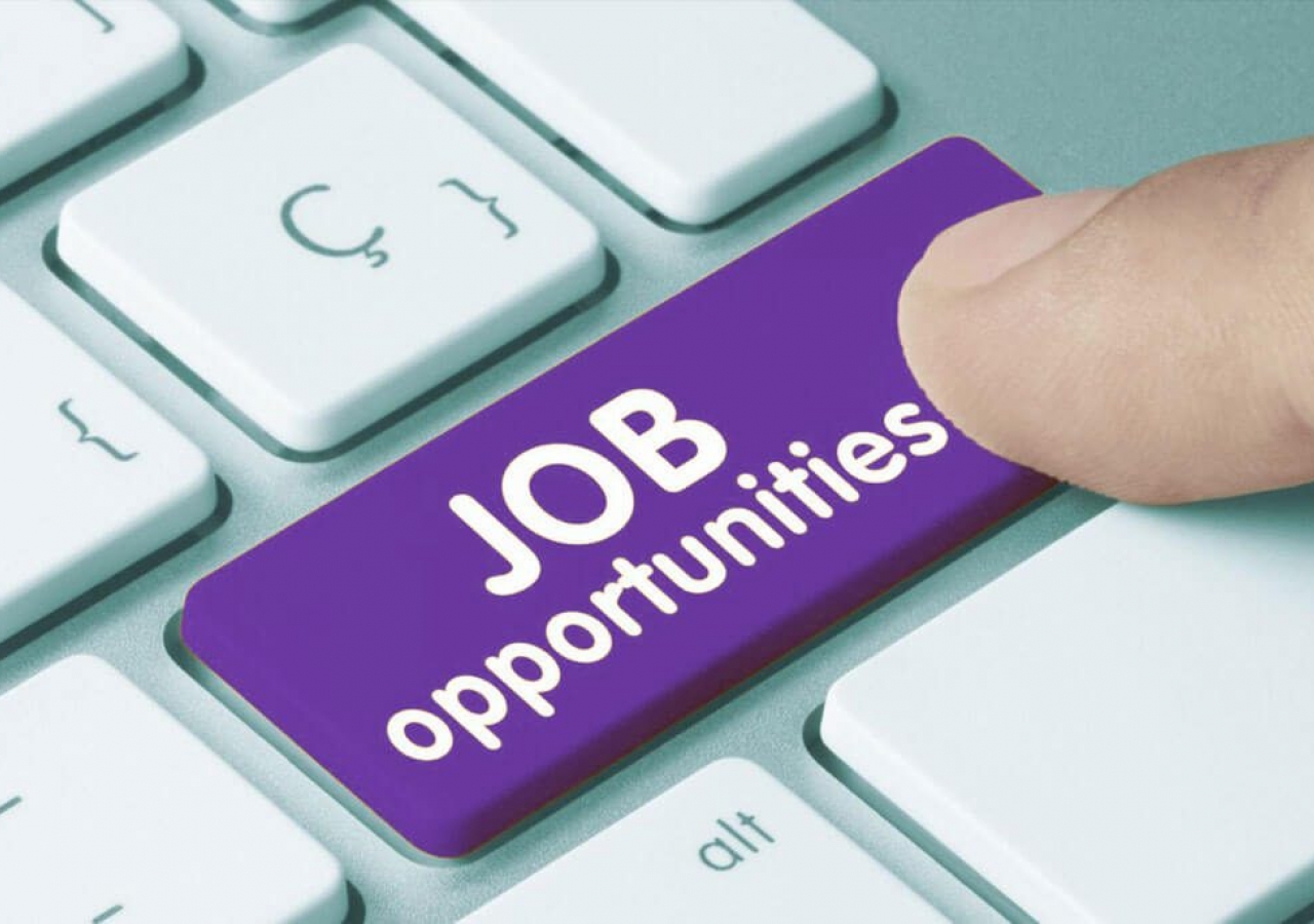 Job-Opportunities