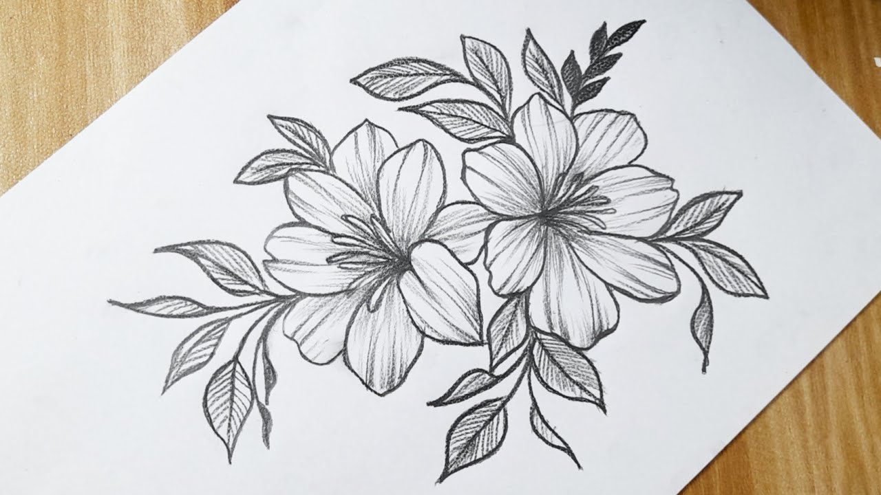 Flower-Drawing