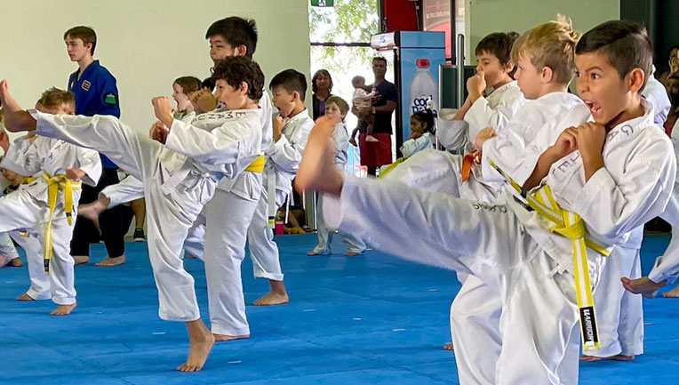 Kids-Karate-Classes