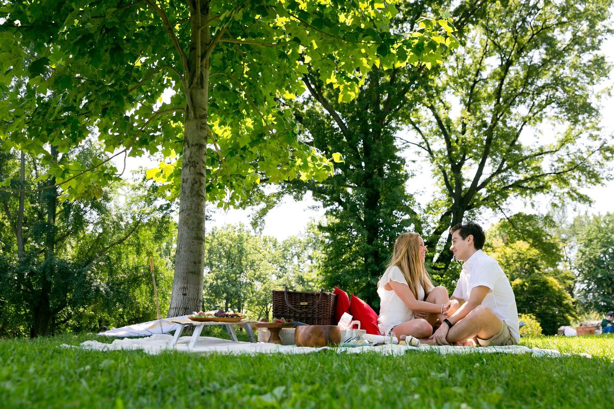 Nyc-Couple-Under-Blanket-Park 